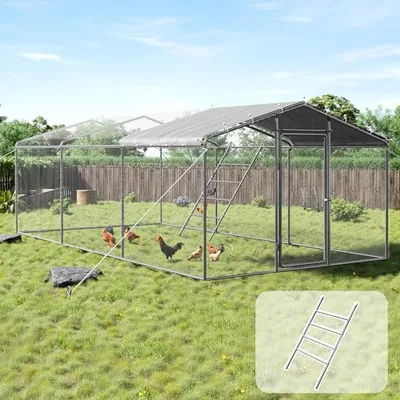 9x19x6.5 FT Walk-in Chicken Coop with PE Cover