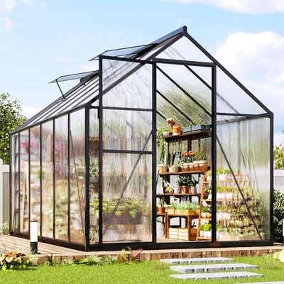 6x12 FT Walk-in Polycarbonate Greenhouse with 2 Top Windows, Black