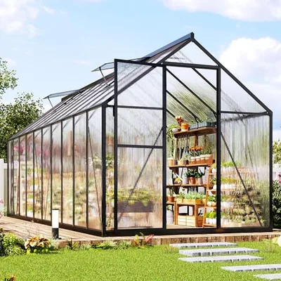 6x20 FT Walk-in Polycarbonate Greenhouse with 2 Top Windows, Black
